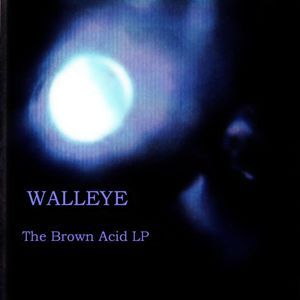 The Brown Acid LP