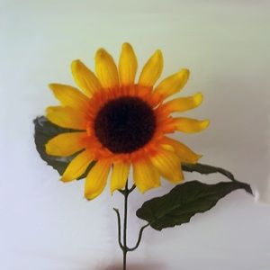 Sunflowers, Part 0