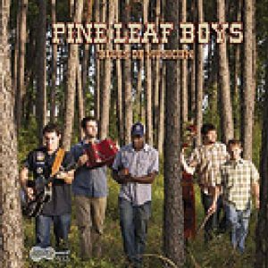 Pine Leaf Boogie