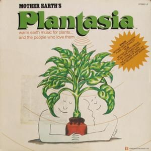 Music to Soothe the Savage Snake Plant