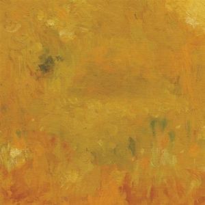 Through Reflection Inhabits