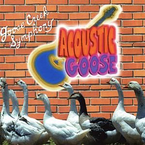 Acoustic Goose