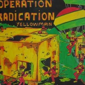 Operation Radication