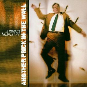 Another Prick in the Wall: A Tribute to Ministry, Volume 2