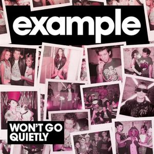 Won't Go Quietly (extended mix)