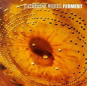 Ferment (Live)