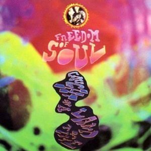 Freedom Of Soul