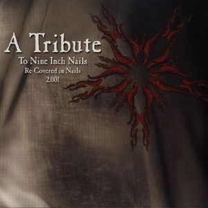 A Tribute to Nine Inch Nails: Re-Covered in Nails 2.001
