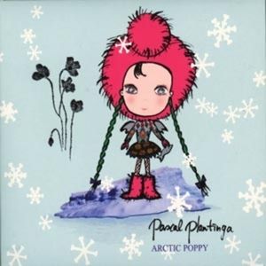 Artic Poppy