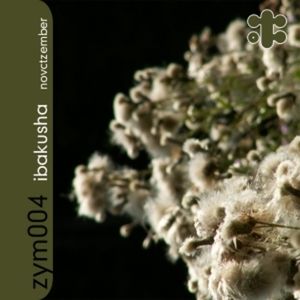 Taxifolia
