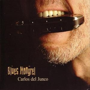 Don't Bring Me Down