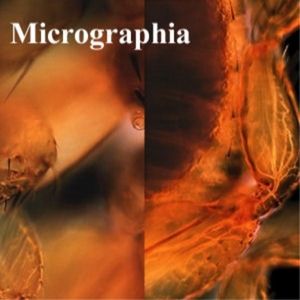 Micrographia