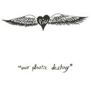 Our Plastic Destiny