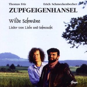 Zogen einst fünf wilde Schwäne