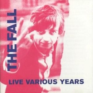Das Vulture ans ein Nutter‐Wain (Live)
