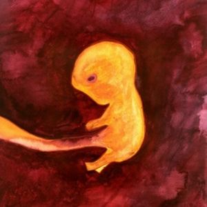 New Hope for the Heartless