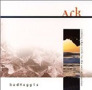 Well (Acoustic)