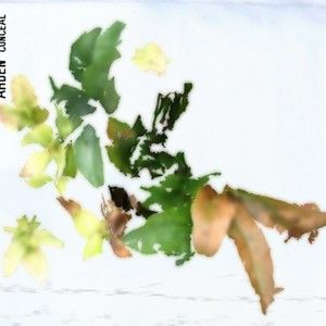 Smashed Computers and Bad Luck