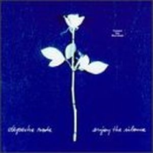 Enjoy the Silence (single version)