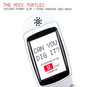 Can You Dig It? (Fatboy Slim & Simon Thornton 2003 remix, instrumental)