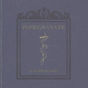 The Wondersmith and His Sons