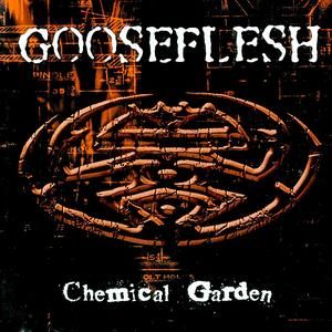 Chemical Garden