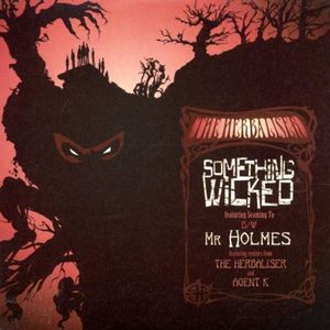 Something Wicked (album radio edit)