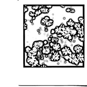 Do They Smoke Cigarettes In Heaven