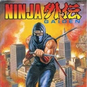 Ninja Gaiden Arrange Version