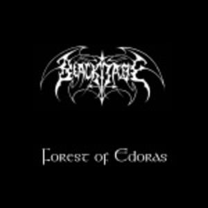Into the Black Gate