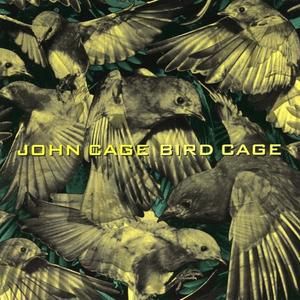 Bird Cage, Part 8