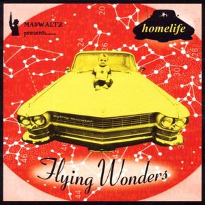 Flying Wonders