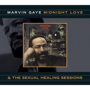 Sexual Healing (alternate 12-Inch instrumental)