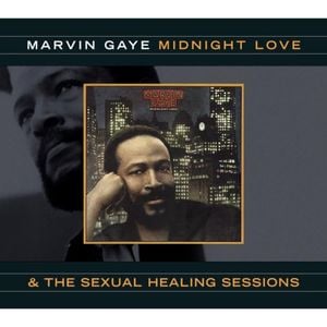 Sexual Healing (original vocal version)