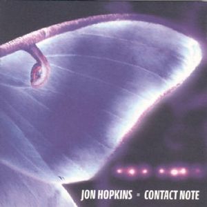 Luna Moth