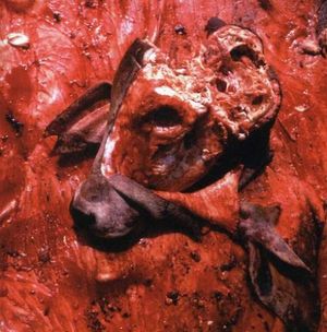 Gestation of Smegma