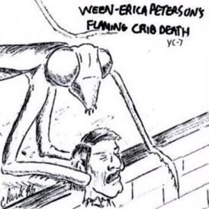 Erica Peterson’s Flaming Crib Death