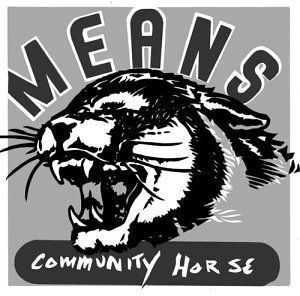 Community Horse