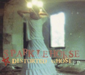 Distorted Ghost (EP)