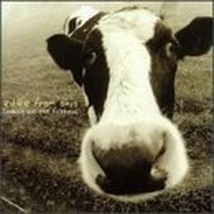 Looking Out the Fishbowl