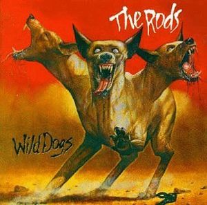 The Night Lives to Rock