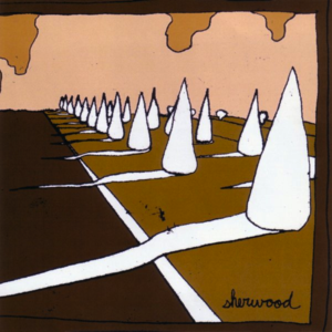 Pray Forgive Me These Mistakes