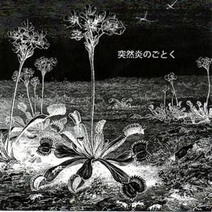 突然炎のごとく