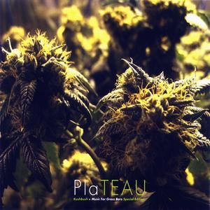 Dutch Flowers (extended remix)