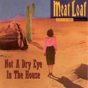 Not a Dry Eye in the House (Single)