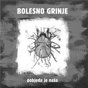 Bolesno grinje