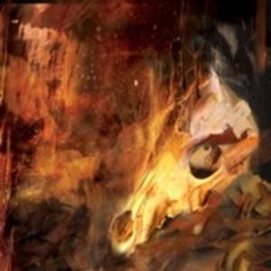 Moving Through Color II