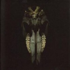 Confessions of a Soothsayer (Technophile)