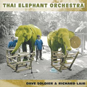 Elephant Field Recordings