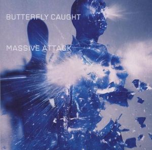 Butterfly Caught (album version)